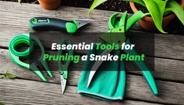 Essential Tools for Pruning a Snake Plant